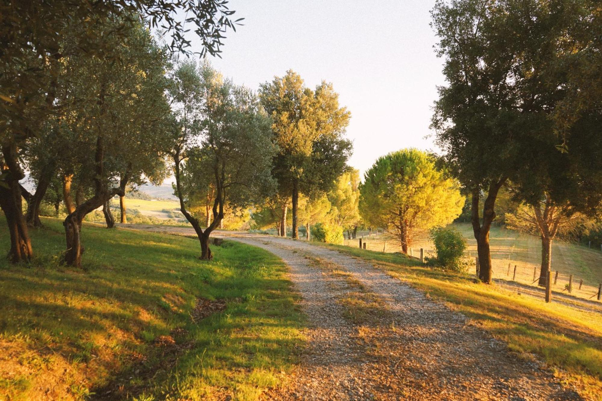 Villa Fonteintanata Miemo ภายนอก รูปภาพ